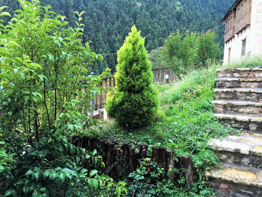 Old Inn Gorianádhes Exterior foto